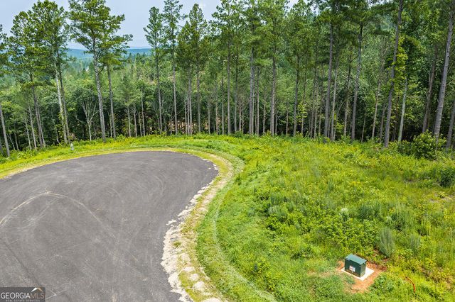 LOT 63 Lacey Springs Lane, Ellijay, GA 30540
