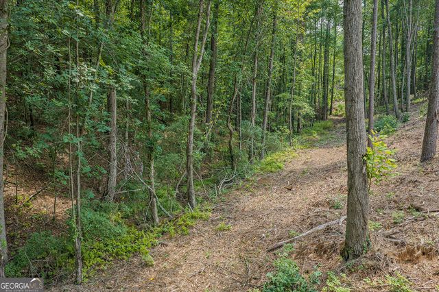 LOT 63 Lacey Springs Lane, Ellijay, GA 30540
