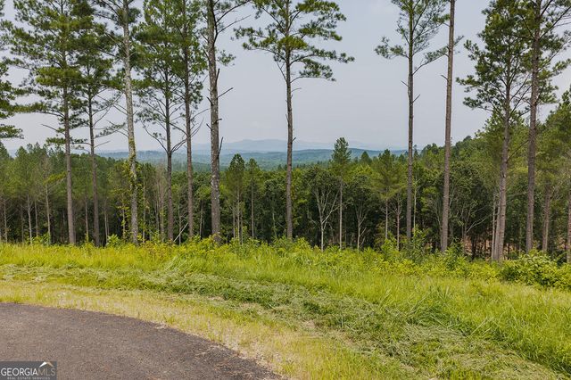 LOT 63 Lacey Springs Lane, Ellijay, GA 30540