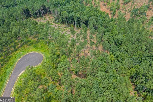 LOT 63 Lacey Springs Lane, Ellijay, GA 30540