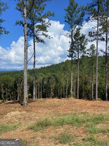 LOT 63 Lacey Springs Lane, Ellijay, GA 30540
