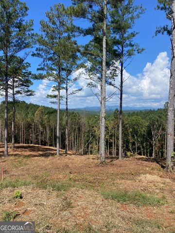 LOT 63 Lacey Springs Lane, Ellijay, GA 30540