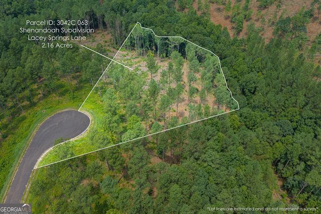 LOT 63 Lacey Springs Lane, Ellijay, GA 30540