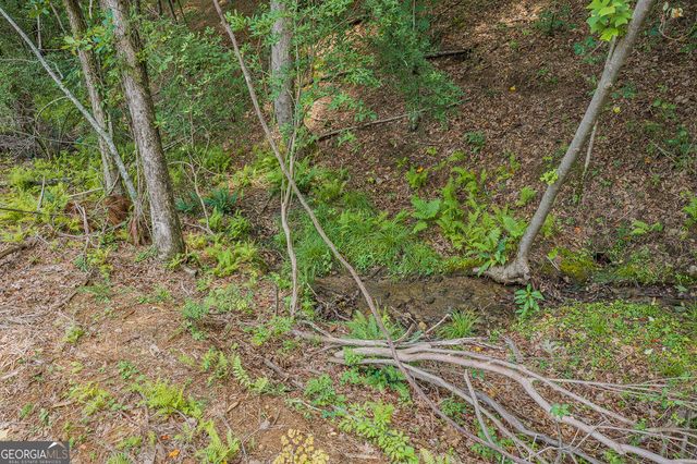 LOT 63 Lacey Springs Lane, Ellijay, GA 30540