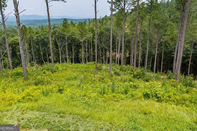 LOT 63 Lacey Springs Lane, Ellijay, GA 30540