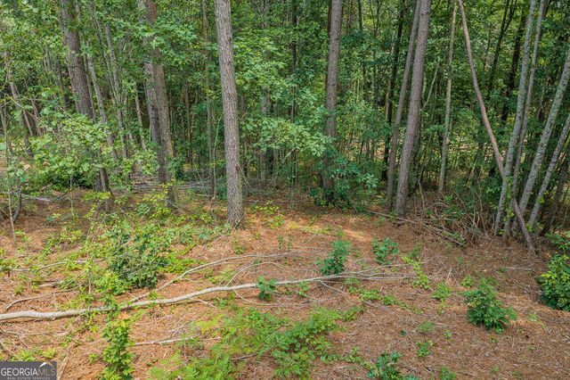 LOT 63 Lacey Springs Lane, Ellijay, GA 30540