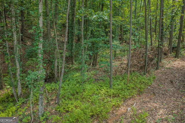 LOT 63 Lacey Springs Lane, Ellijay, GA 30540