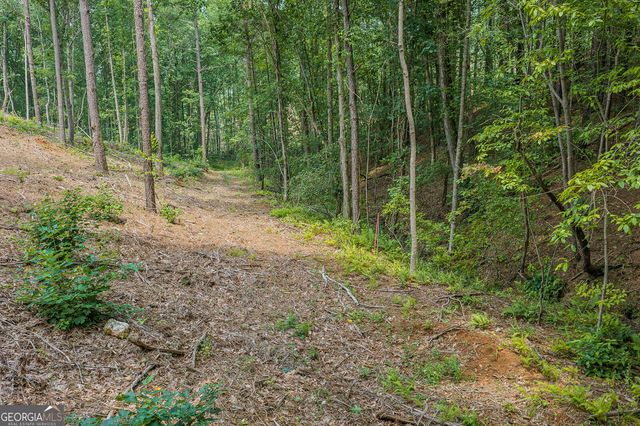LOT 63 Lacey Springs Lane, Ellijay, GA 30540