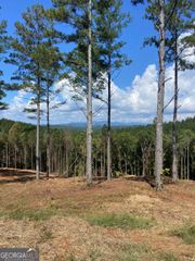 LOT 63 Lacey Springs Lane, Ellijay, GA 30540