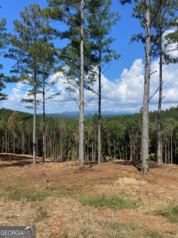 LOT 63 Lacey Springs Lane, Ellijay, GA 30540