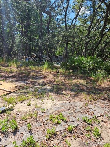 4300 W Roadrunner Court, Homosassa, FL 34446