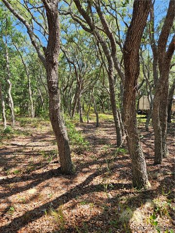 4300 W Roadrunner Court, Homosassa, FL 34446