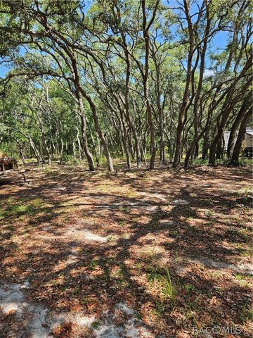 4300 W Roadrunner Court, Homosassa, FL 34446