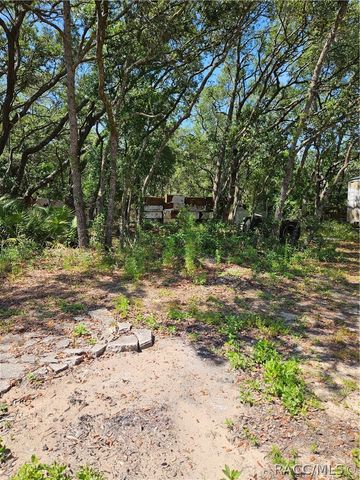4300 W Roadrunner Court, Homosassa, FL 34446