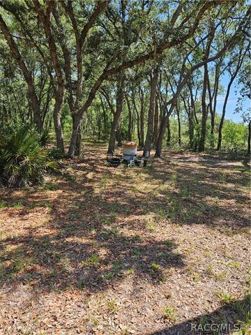 4300 W Roadrunner Court, Homosassa, FL 34446