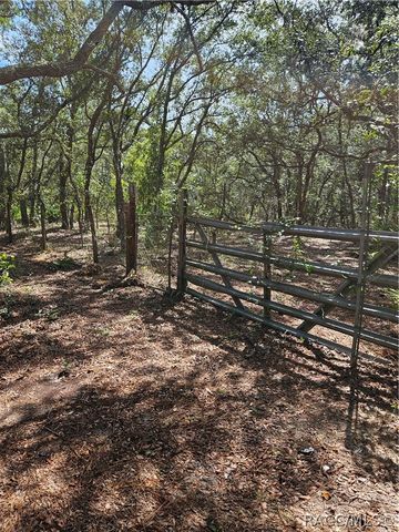 4300 W Roadrunner Court, Homosassa, FL 34446