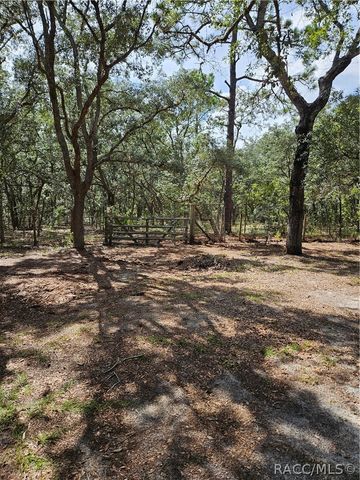 4300 W Roadrunner Court, Homosassa, FL 34446