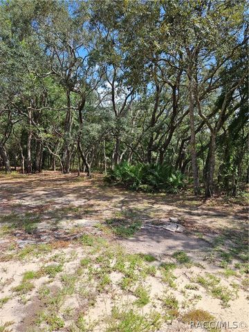 4300 W Roadrunner Court, Homosassa, FL 34446