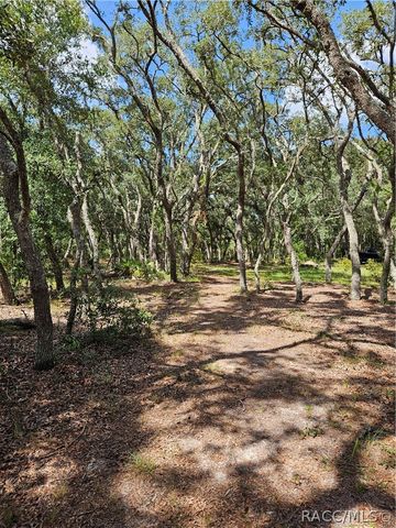 4300 W Roadrunner Court, Homosassa, FL 34446