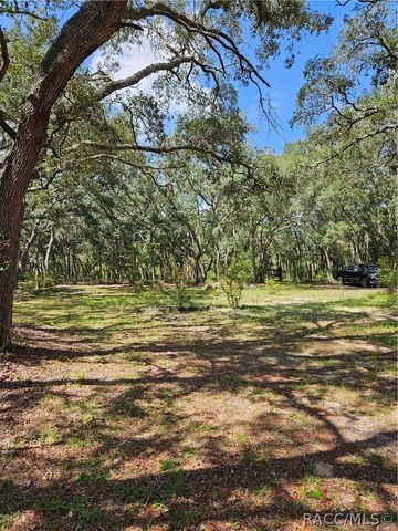 4300 W Roadrunner Court, Homosassa, FL 34446