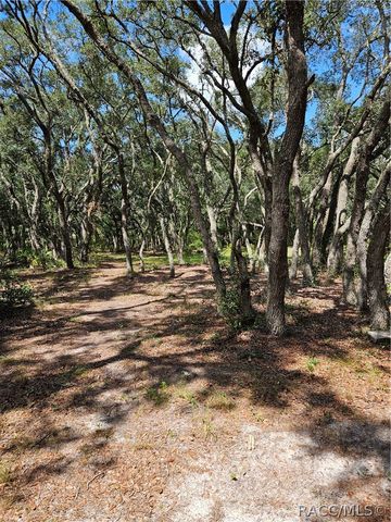 4300 W Roadrunner Court, Homosassa, FL 34446