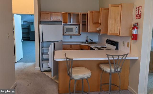 1217 TROOPER, Audubon, PA 19403