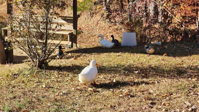 105 Candlewood Path, Dallas, GA 30157