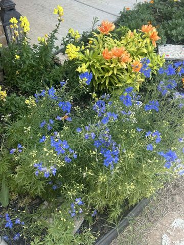 9910 Viola Avenue, Lubbock, TX 79424