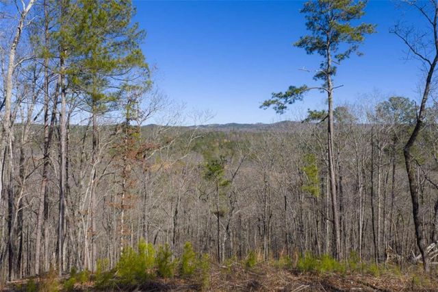 LT 285 Anglers Ridge Road, Talking Rock, GA 30175