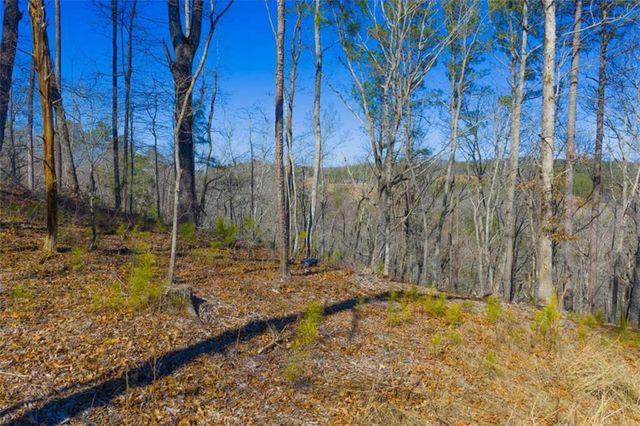 LT 285 Anglers Ridge Road, Talking Rock, GA 30175