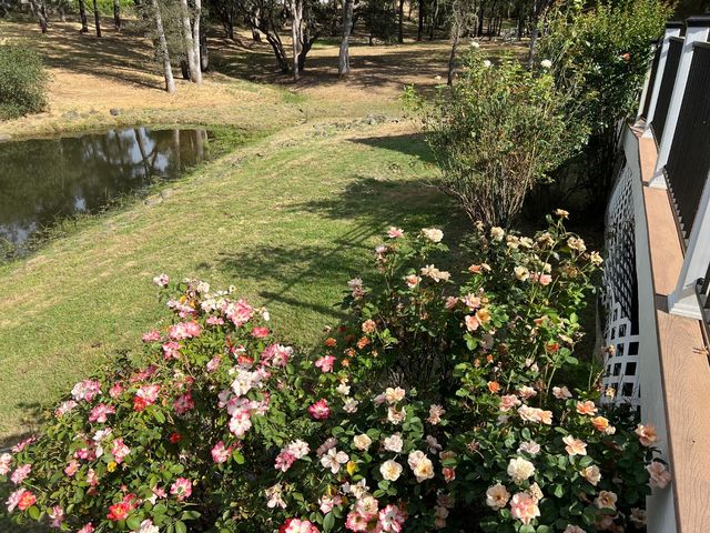 4294 S Creekhaven Rd, Auburn, CA 95602