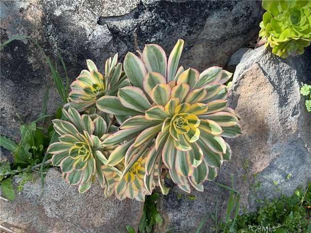 3311 Highway 140, Catheys Valley, CA 95306