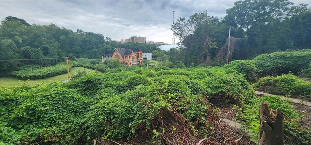 2950 Orbin St, Hill District, PA 15219