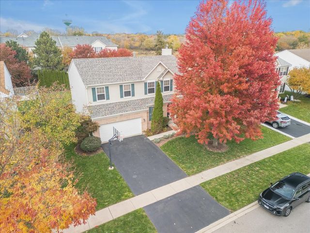 316 Gregory M Sears Drive, Gilberts, IL 60136