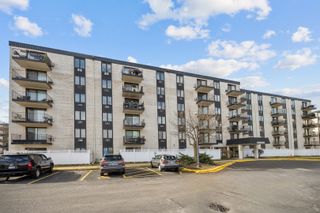 9118 W Elmwood Drive 3K, Niles, IL 60714