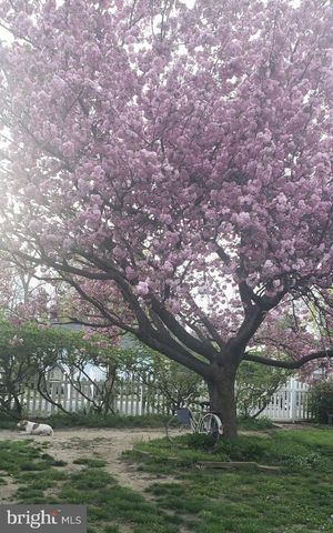 428 PINE AVE, Woodbury, NJ 08096