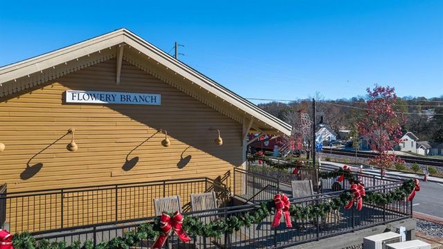 6672 Parsons Street, Flowery Branch, GA 30542