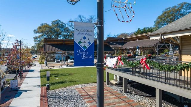 6672 Parsons Street, Flowery Branch, GA 30542