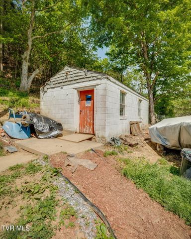 4320 Reservoir Road, Kingsport, TN 37660