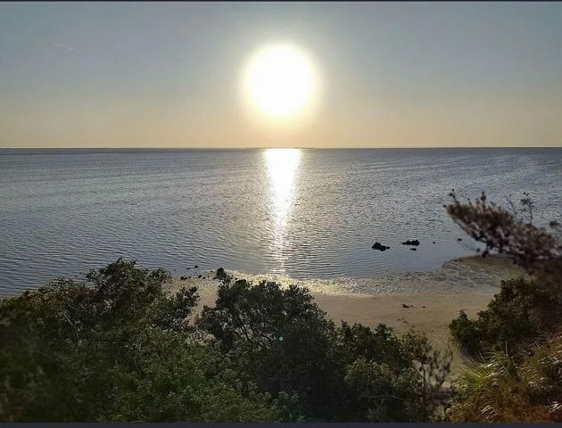 831 RIVER VIEW LANE, Tarpon Springs, FL 34689