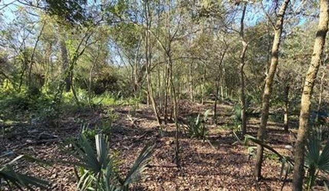 000 Bayou Road, Danbury, TX 77534