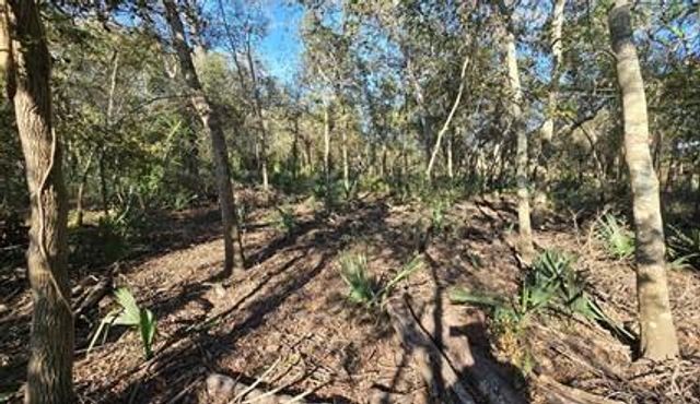 000 Bayou Road, Danbury, TX 77534