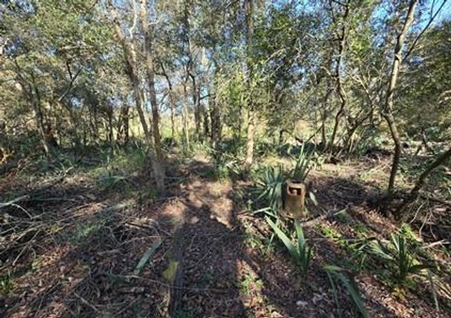 000 Bayou Road, Danbury, TX 77534