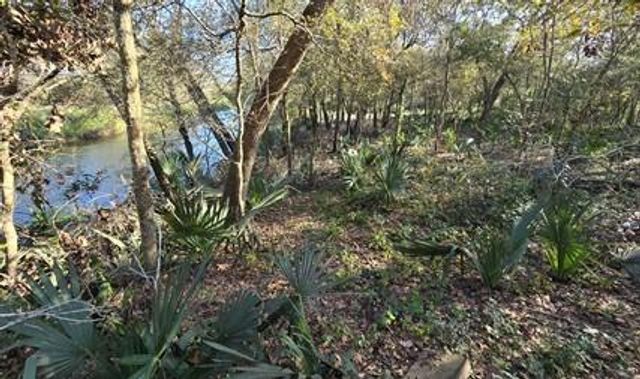 000 Bayou Road, Danbury, TX 77534