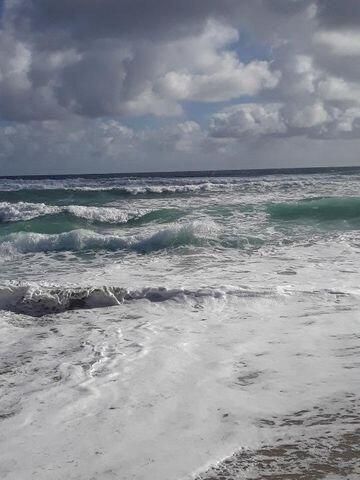 3400 NW 47th Avenue 3161, Coconut Creek, FL 33063