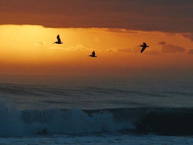 3400 NW 47th Avenue 3161, Coconut Creek, FL 33063