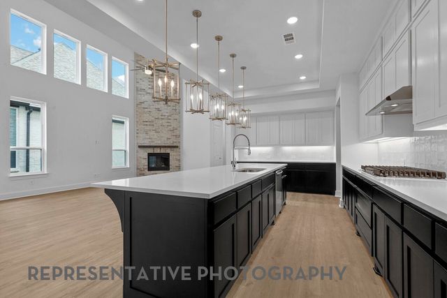 1219 Barbazzano Drive, Fate, TX 75087