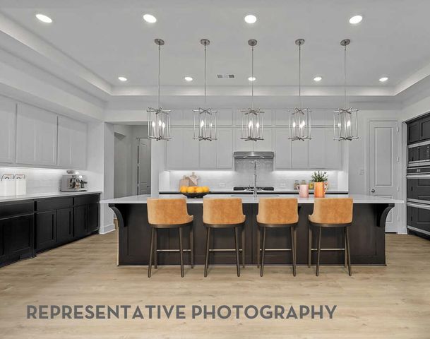 1219 Barbazzano Drive, Fate, TX 75087