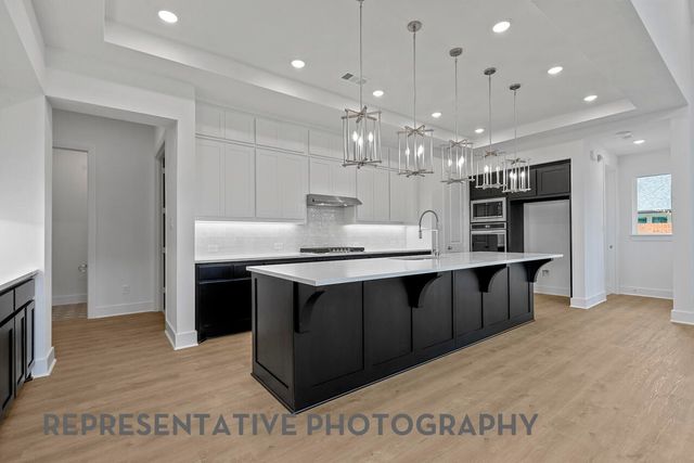 1219 Barbazzano Drive, Fate, TX 75087