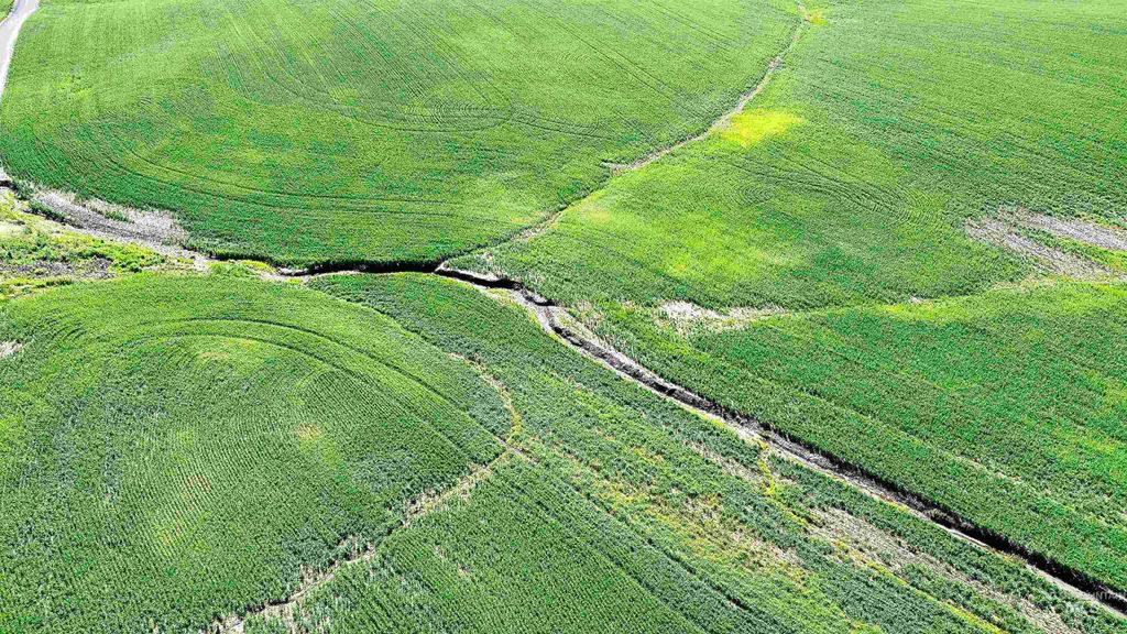 TBD Basket Rd, Nezperce, ID 83543 photo 10